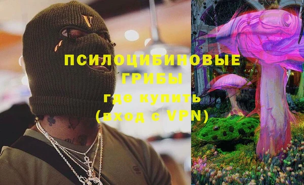 mdpv Долгопрудный