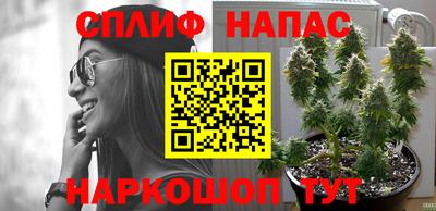 каннабис Абакан