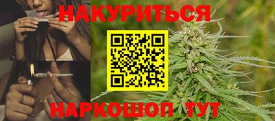 индика Абинск