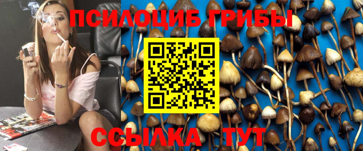 Анжеро-Судженск  Галлюциногенные грибы Psilocybine cubensis  Псилоцибиновые грибы MAGIC MUSHROOMS  Вход с VPN 