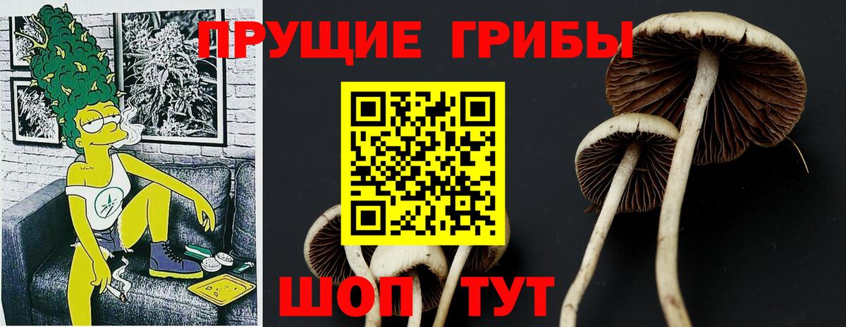 Псилоцибиновые грибы ЛСД Анжеро-Судженск