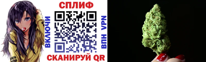 где купить наркоту  Анжеро-Судженск  Канабис конопля 